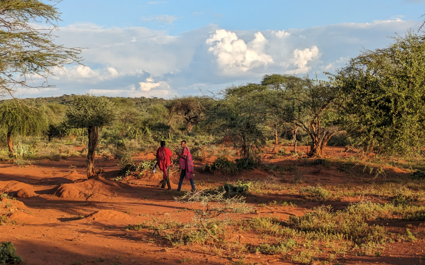 travelling in Kenya