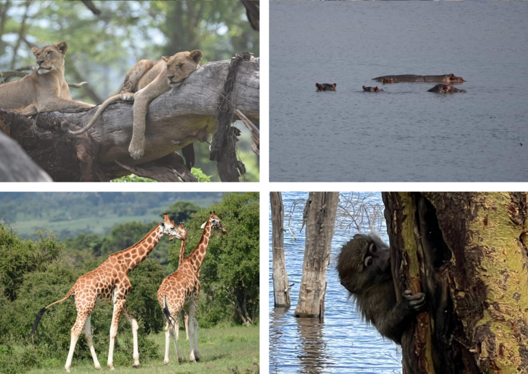 Lake-Nakuru 