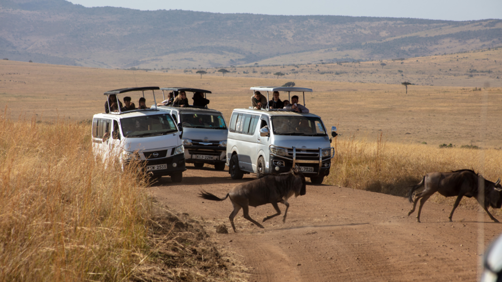 safari-kenya