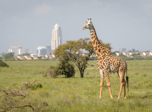 Kenya